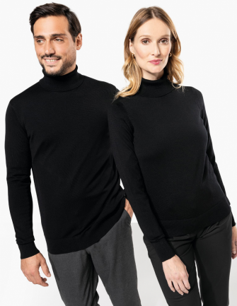 Pull Col roulé Mérinos