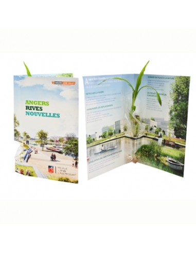 La plante postale