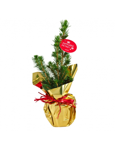 Sapin de Noël
