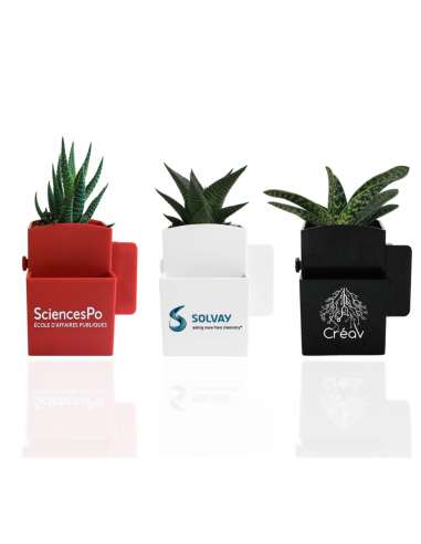 Végétal Box plante dépolluante