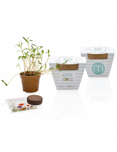 Kit de plantation 100% biodégradable
