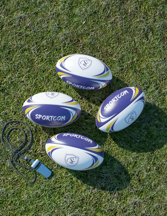 Mini ballon de Rugby 2