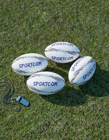 Mini ballon de Rugby