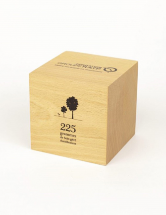 Presse papier cube en bois