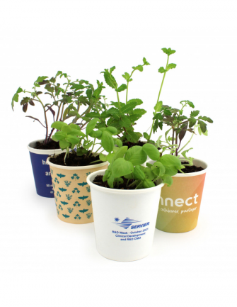 Kit plantation pot carton