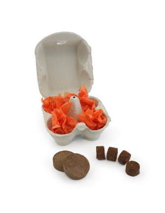 Palet à graine en boite à oeuf 2