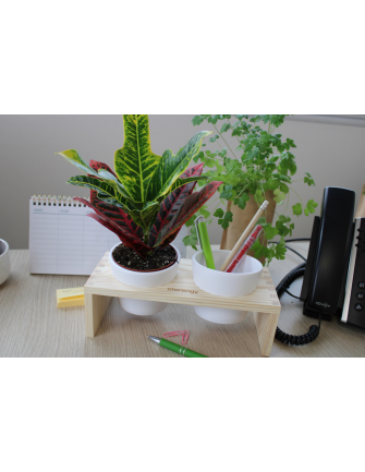 Double Pot et bois 2