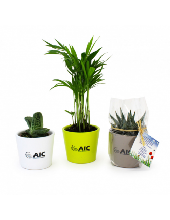 Mini plante pot ceramique 2