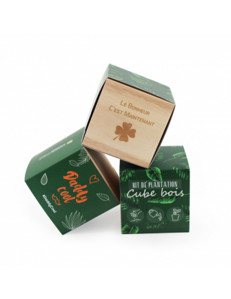 Cube bois graines 2
