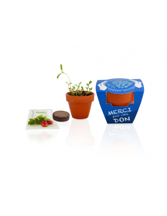 Kit de plantation terre cuite