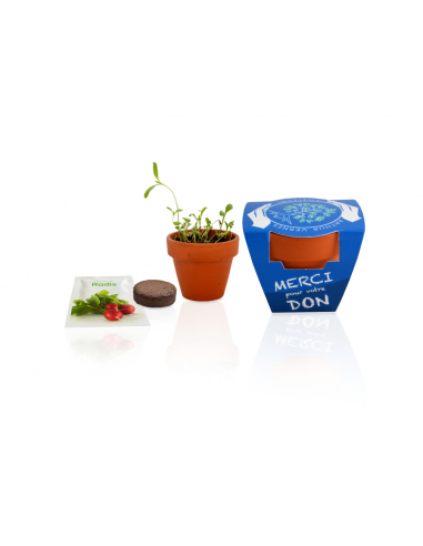 Kit de plantation terre cuite