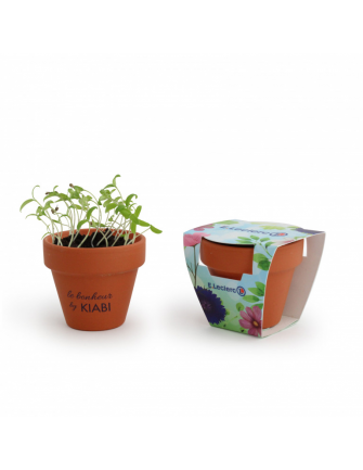 Kit de plantation terre cuite 2