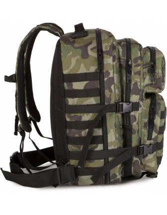 Sac à dos tactique M O L L E 2