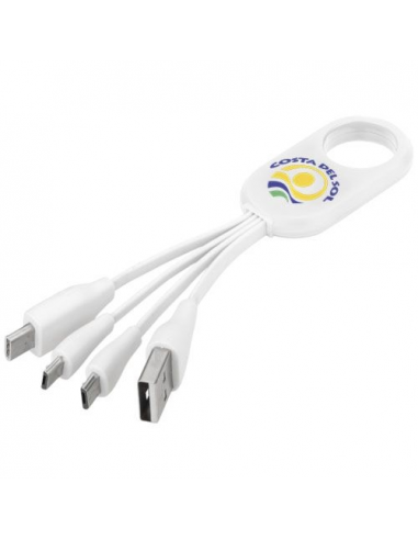 Câble USB multi-ports