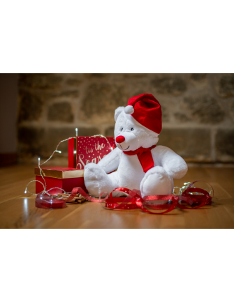 Peluche zippée ours de Noël 2