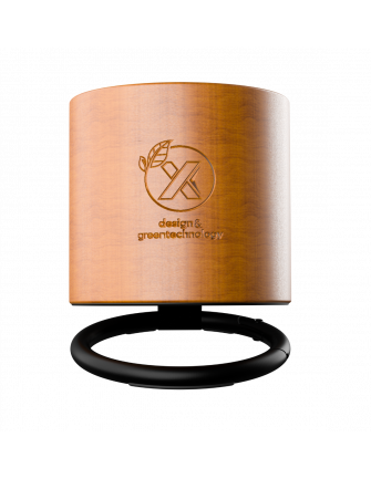 Enceinte 3W logo lumineux 2