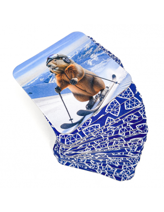 Jeu de mémory sous boîte métal 2