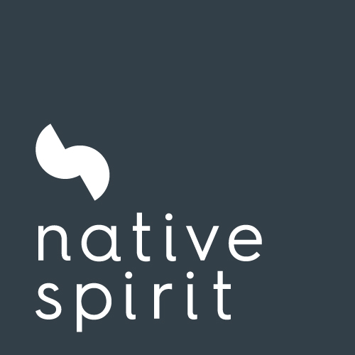 NativeSpirit-logo-carre-PANTONE432C-defonce.jpg